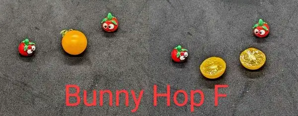 Tomaten: BUNNY HOP