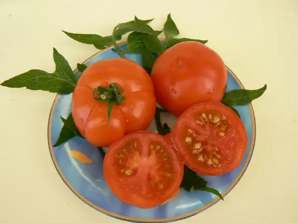 Tomaten: Burkanlapu