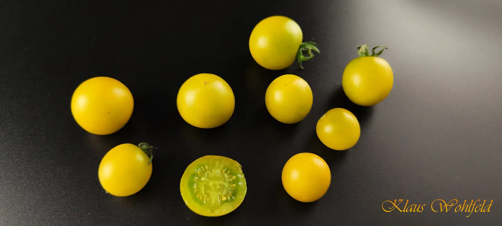 Tomaten: Buschtomate Fat Frog (Micro Dwarf)
