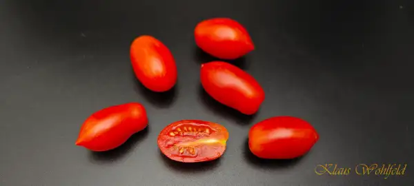 Tomaten: Buschtomate Laura Tomate (Micro Dwarf)