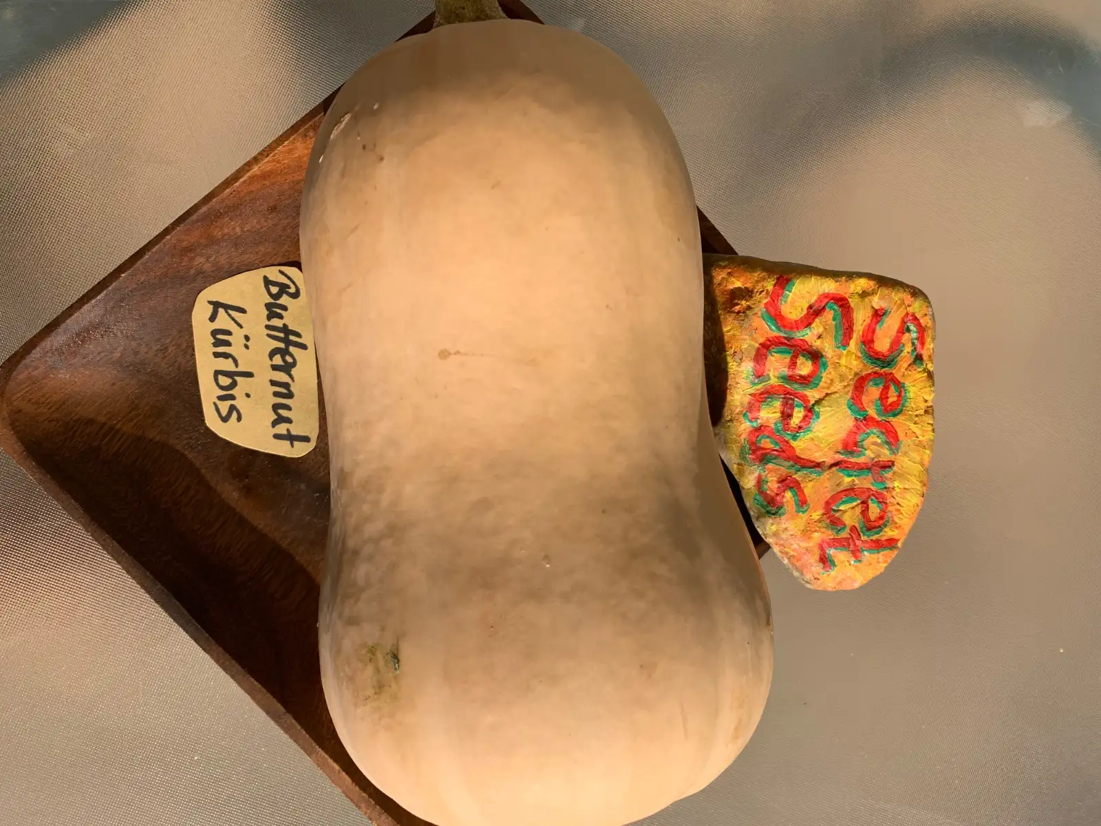 Kürbisse: Butternut