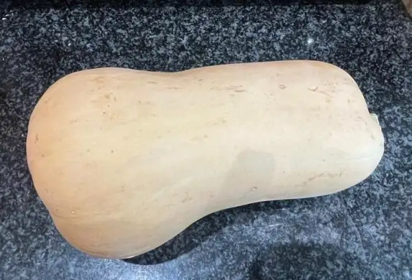 Kürbisse: Butternut-Kürbis