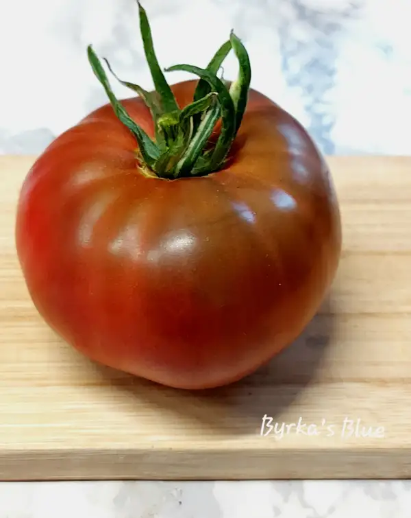 Tomaten: Byrka