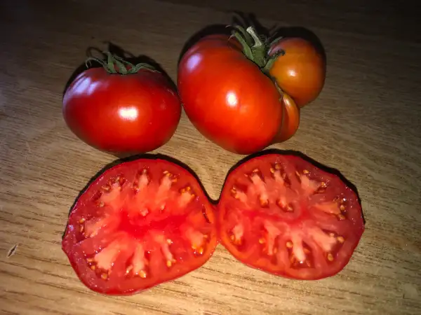 Tomaten: Cœur de Velours