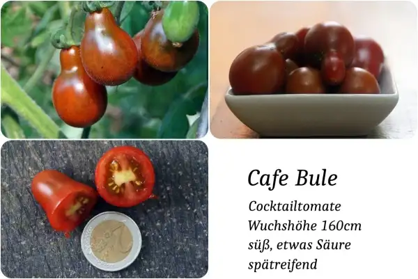 Tomaten: Cafe Bulé