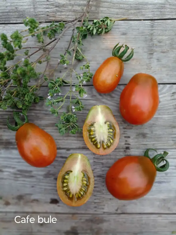 Tomaten: Cafe Bulé