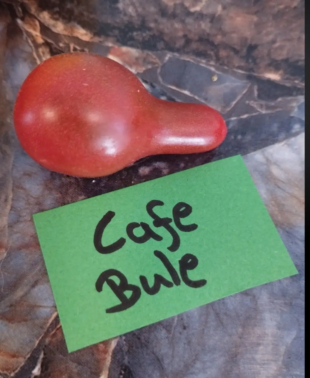 Tomaten: Cafe Bulé