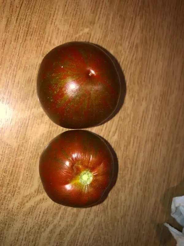 Tomaten: Cal Red and Green