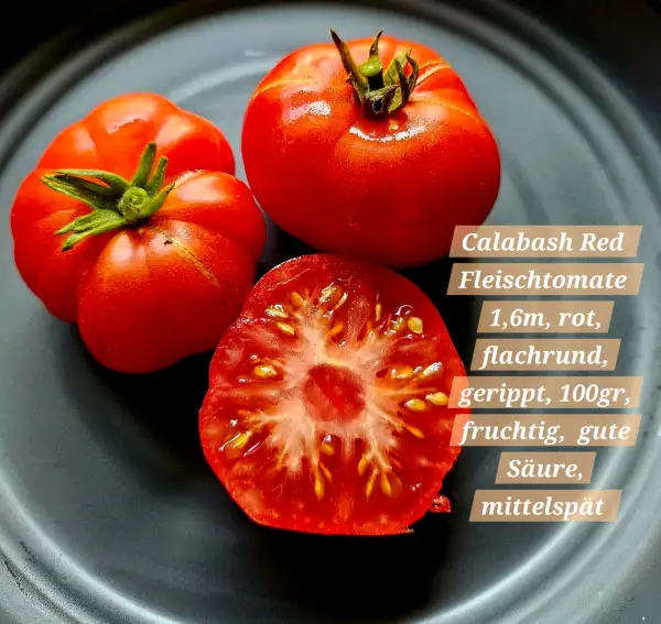 Tomaten: Calabash Red