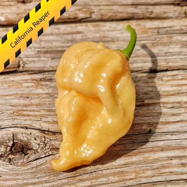 Chili: California Reaper