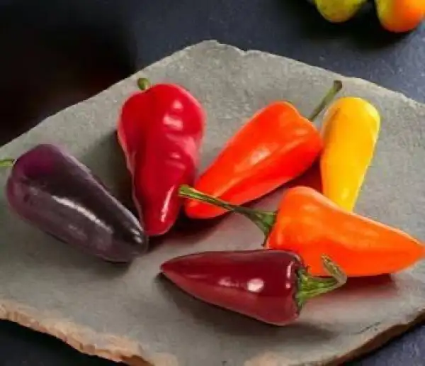 Chili / Paprika: Californischer Peperoni Orange