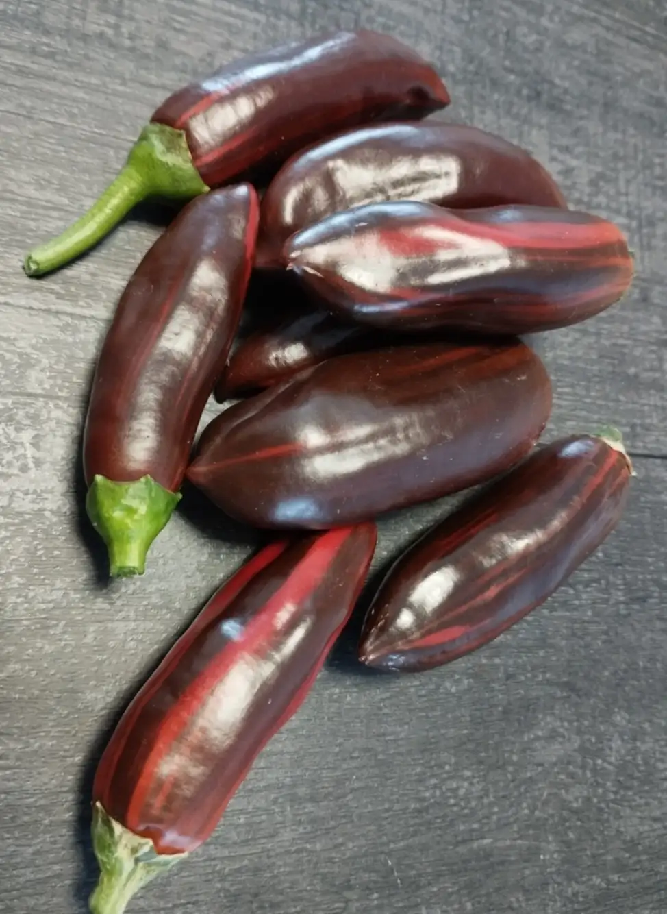 Chili / Paprika: Candy Cane