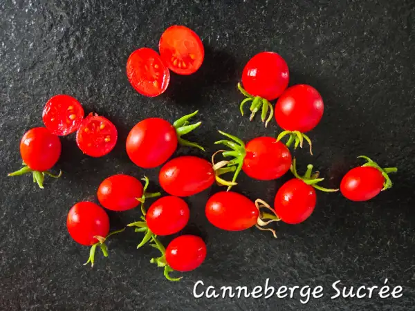 Tomaten: Canneberge Sucrée