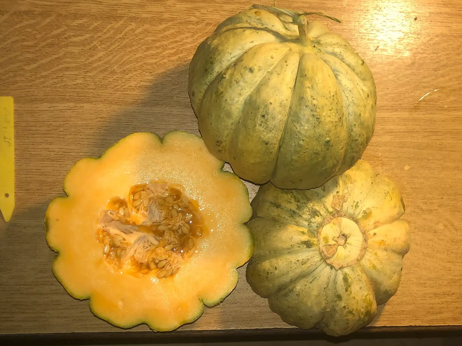Melonen: Cantaloup de Paris melone