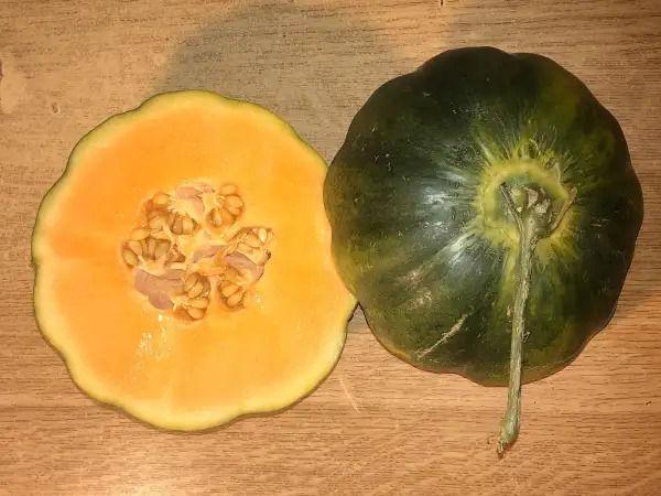 Melonen: Cantaloup de Vauriac melone
