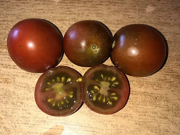 Tomaten: Cappuccino