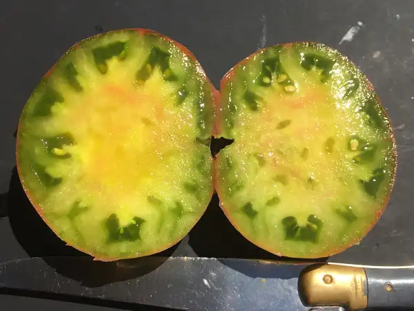 Tomaten: Captain Lucky
