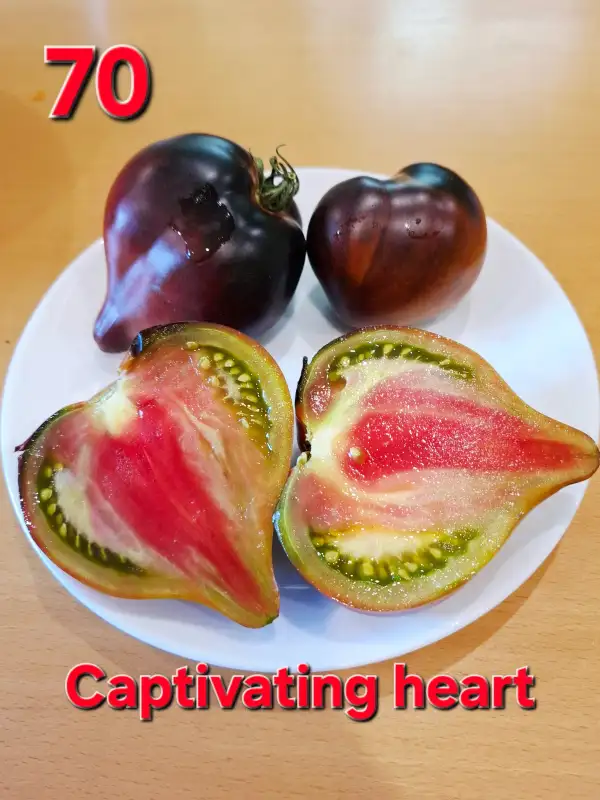 Tomaten: Captivating heart