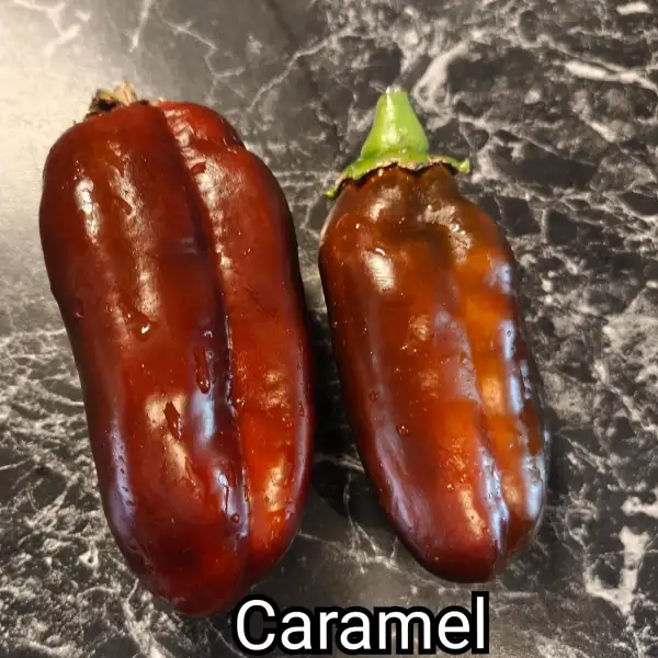 Paprika: Caramel
