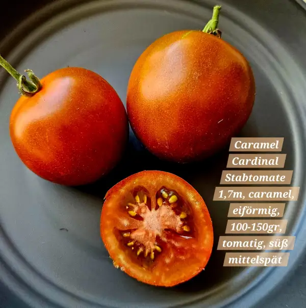 Tomaten: Caramel Cardinal