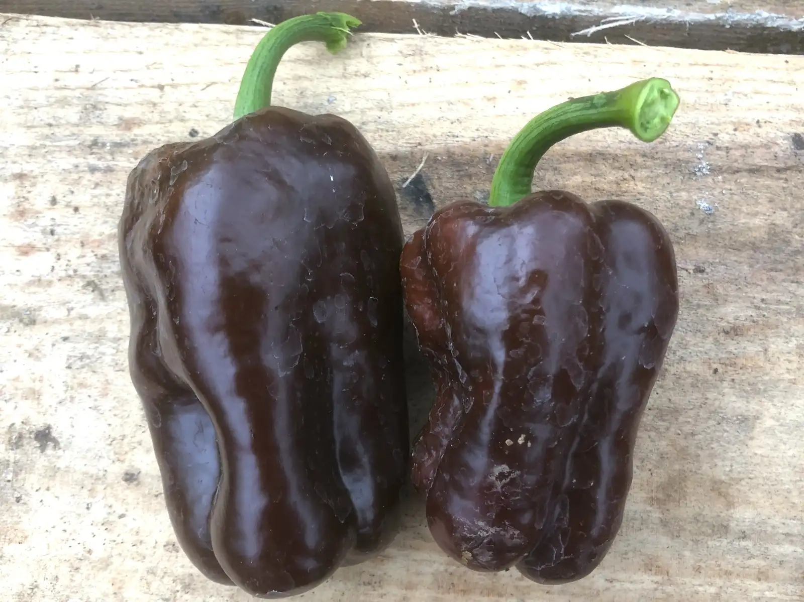 Chili / Paprika: Caramel (sweet)