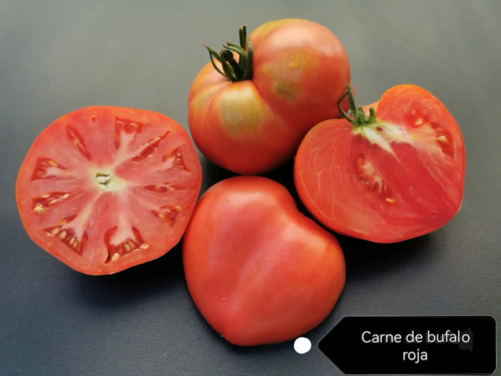 Tomaten: Carne de Bufalo Roja