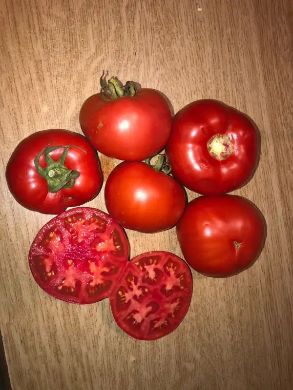 Tomaten: Carnosa de Salamanca