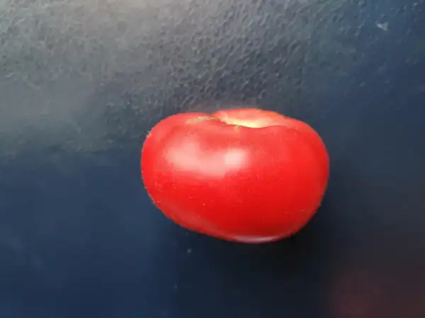 Tomaten: Caspian Pink