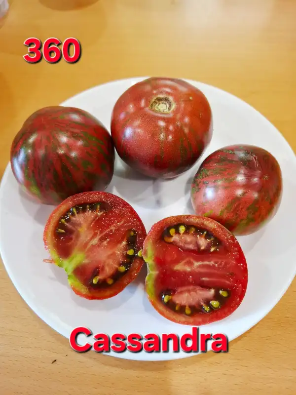 Tomaten: Cassandra