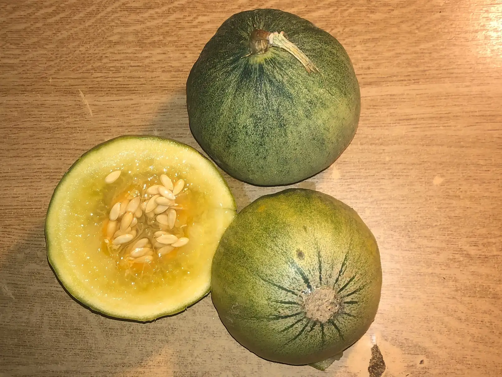 Melonen: Català de Secà melone