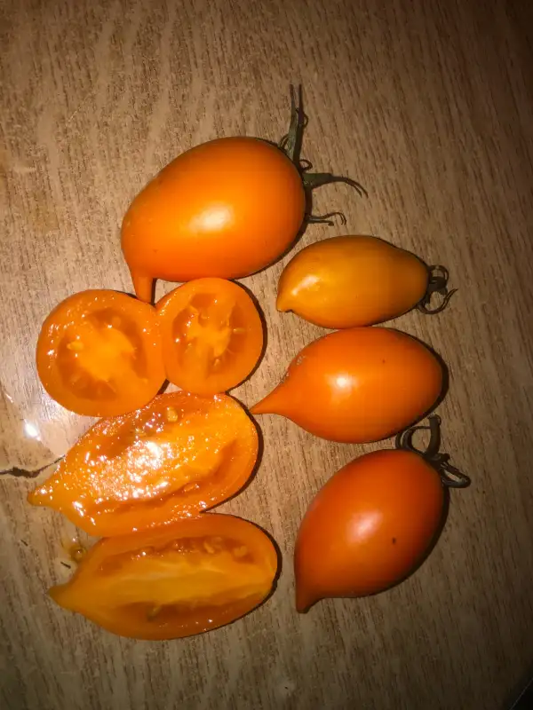 Tomaten: Cavendish Banana