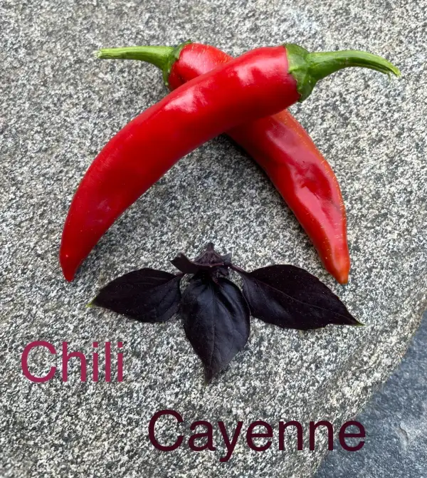 Chili / Paprika: Cayenne