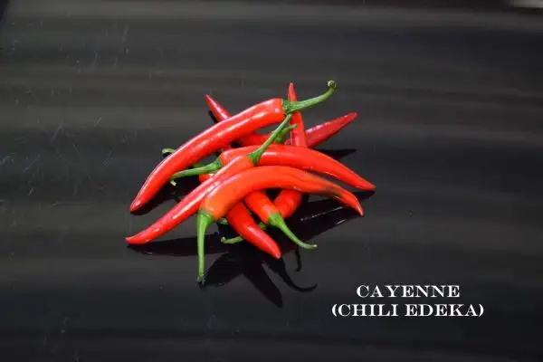 Chili / Paprika: Cayenne (Chili Edeka)