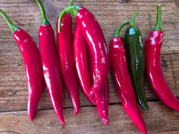 Chili / Paprika: Cayenne Rot