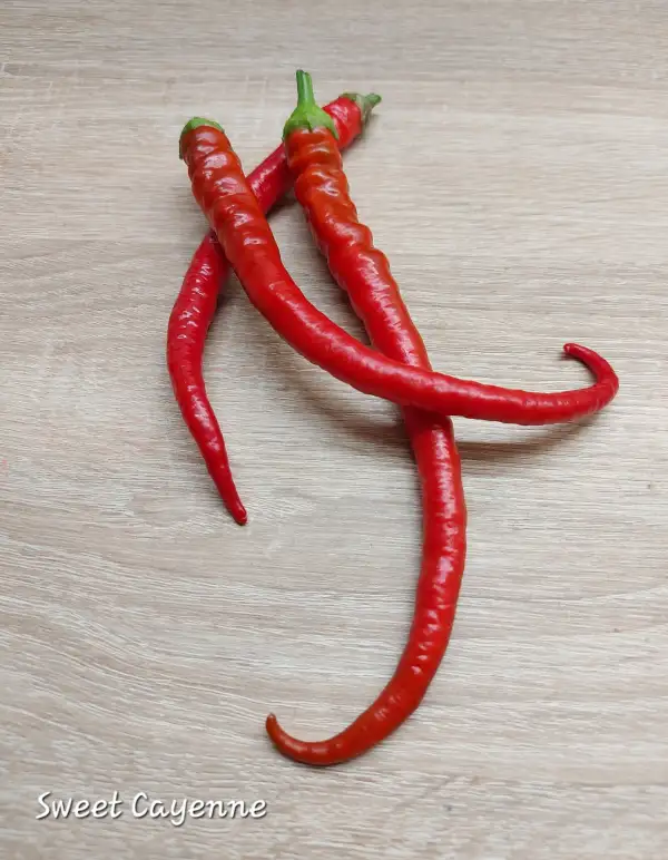 Chili / Paprika: Cayenne Sweet