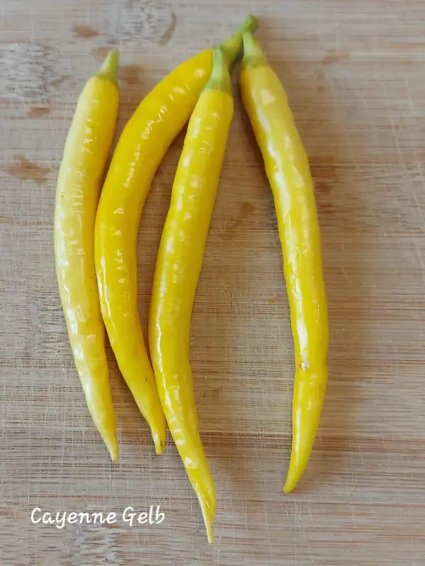 Chili / Paprika: Cayenne Yellow