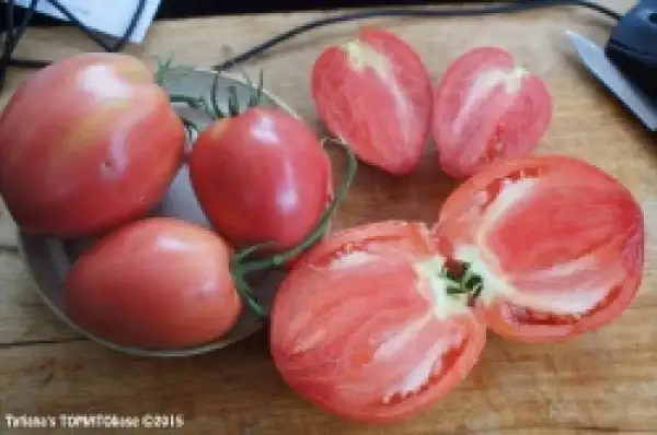 Tomaten: Ceman