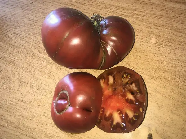Tomaten: Cenizo del Cañamares