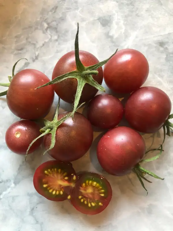 Tomaten: Cerise Noir du Layon