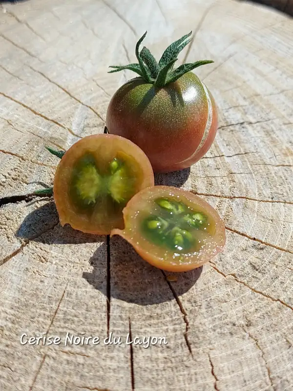Tomaten: Cerise Noire du Layon