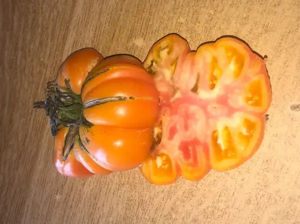 Tomaten: Chalilis