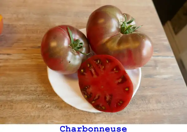 Tomaten: Charbonneuse