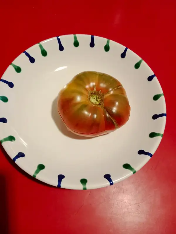 Tomaten: Charbonneuse