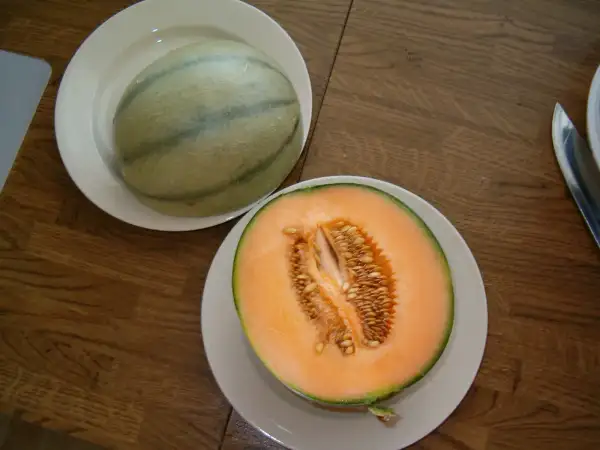 Melonen: Charentais