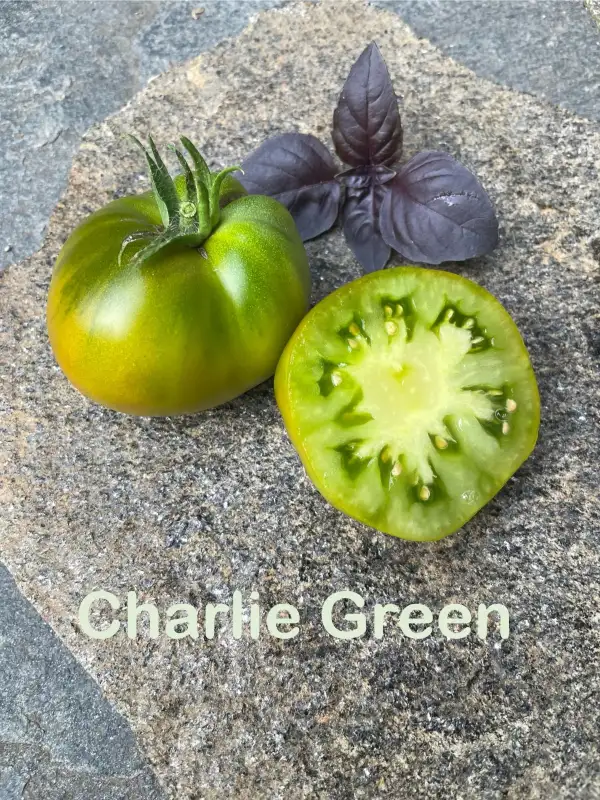 Tomaten: Charlie Green