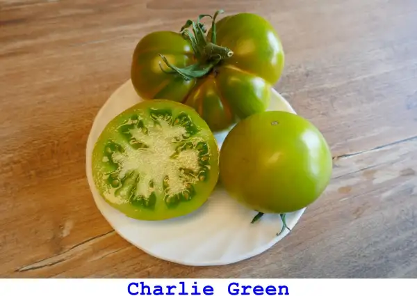 Tomaten: Charlie Green