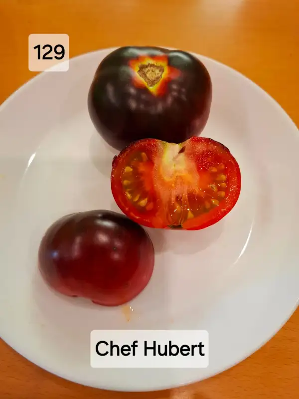 Tomaten: Chef Hubert