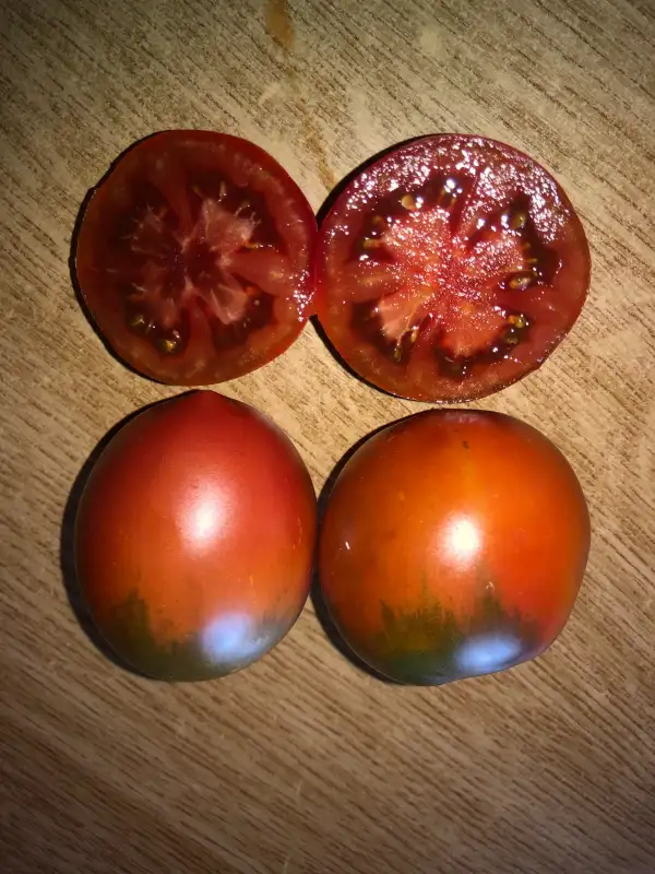 Tomaten: Chernaya Boginya