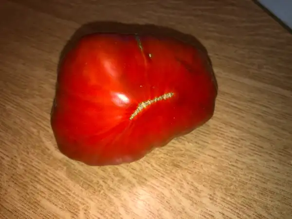 Tomaten: Chernoe Sertse