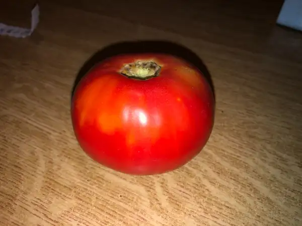 Tomaten: Chernomorskiy Gigant